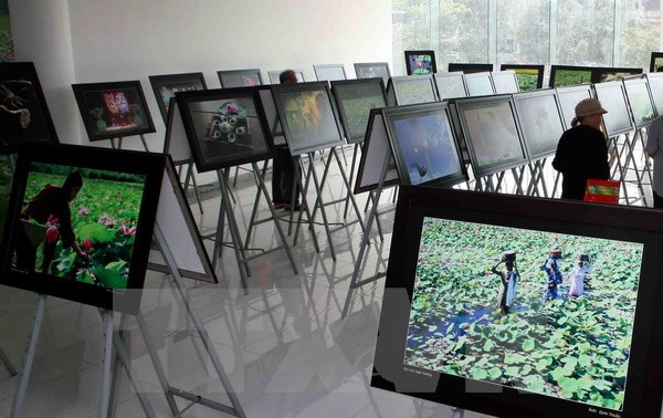 Vietnam’s 8th international photo contest launched