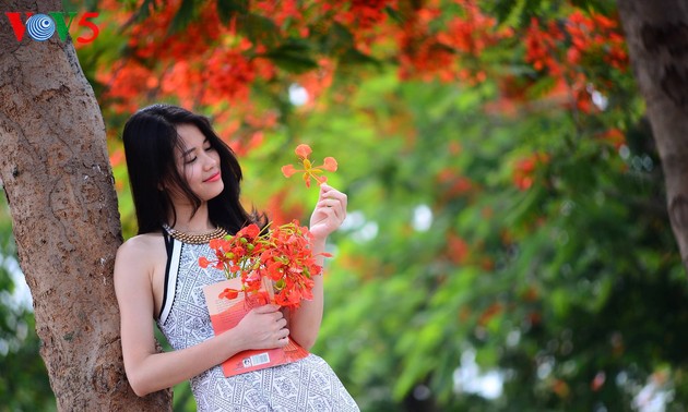 Verano de Hanoi, una pintura con colores de flores