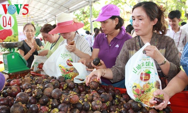 Presentan especialidades sureñas de Vietnam en el festival anual de frutas