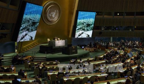 ONU brinda expectativas sobre la protección del entorno oceánico