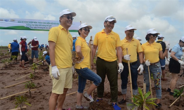 Vietnam siembra manglares en enfrentamiento al cambio climático