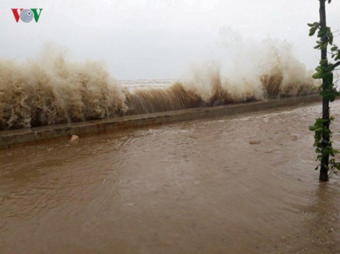 El tifón Doksuri causa pérdidas humanas y materiales en las provincias centrovietnamitas