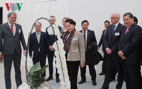 Dirigente parlamentaria de Vietnam indaga agricultura de alta tecnología en Holanda