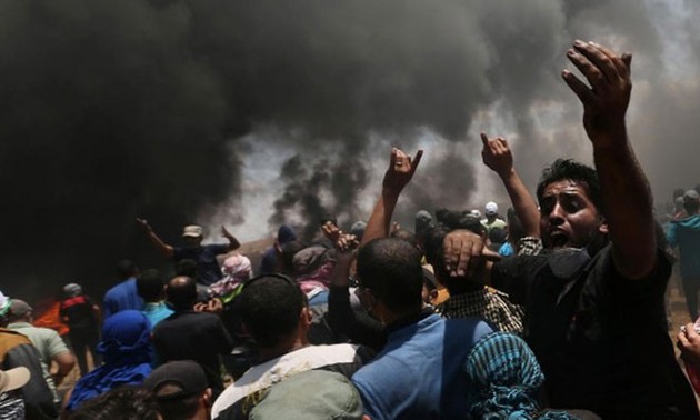 Numerosas bajas a causa de los enfrentamientos sangrientos en la Franja de Gaza 