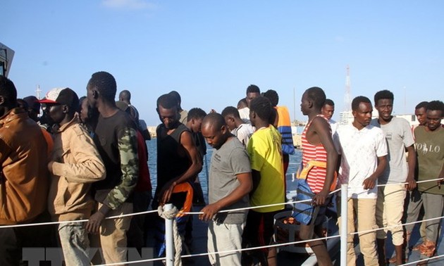 Unos 800 inmigrantes intentan entrar en España