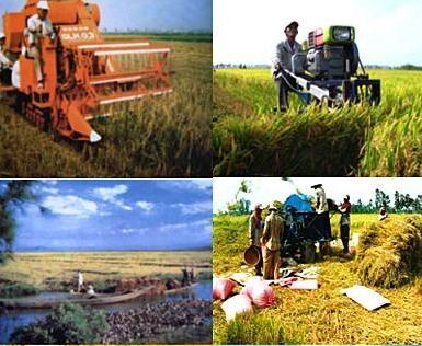 Delta del río Mekong por avanzar sosteniblemente en medio del cambio climático