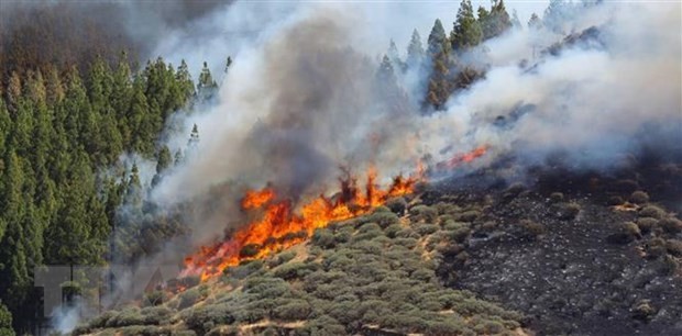 España controla incendio en la isla de Gran Canaria