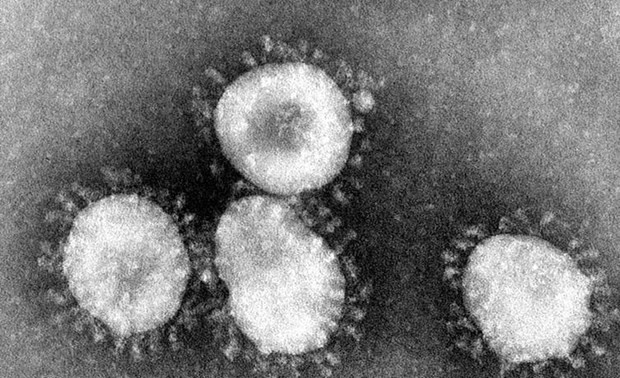 Organización Mundial de la Salud monitorea la evolución del nuevo coronavirus