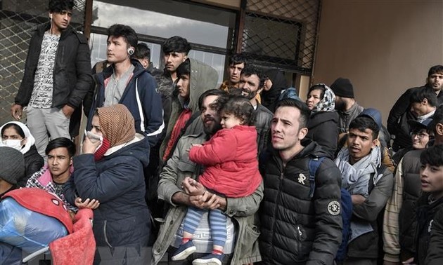 Alemania permite la entrada de 50 refugiados de Grecia