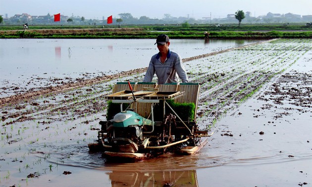 Hanói impulsa la mecanización en la producción agrícola