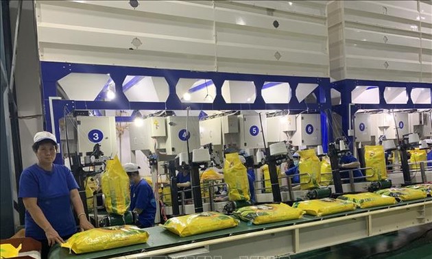 Vietnam por garantizar normas sobre la certificación de arroz aromático exportable a la UE