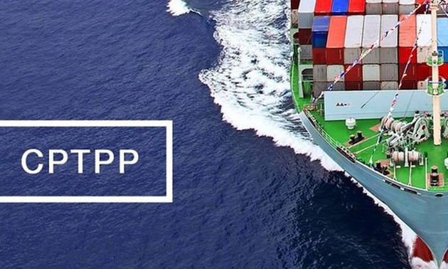 Vietnam promueve la cooperación comercial y de inversión con México, Chile y Perú gracias al CPTPP