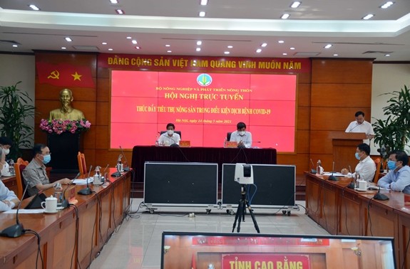 Vietnam por impulsar la exportación de productos agrícolas en medio del covid-19
