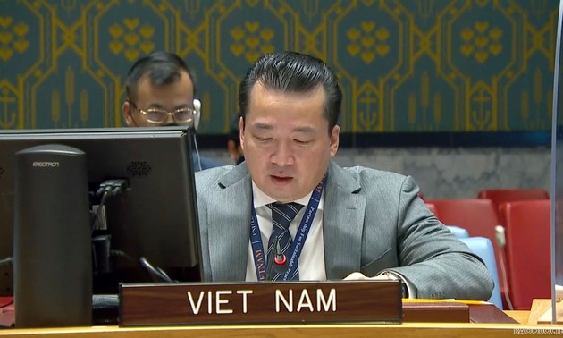Vietnam aplaude progresos en la situación de Somalia