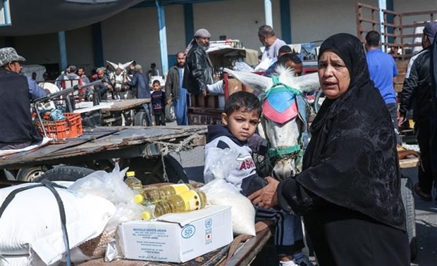 Las Naciones Unidas y Qatar despliegan asistencias en efectivo a los palestinos en Gaza