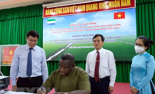  Sierra Leona aboga por intensificar la cooperación con Vietnam en la agricultura