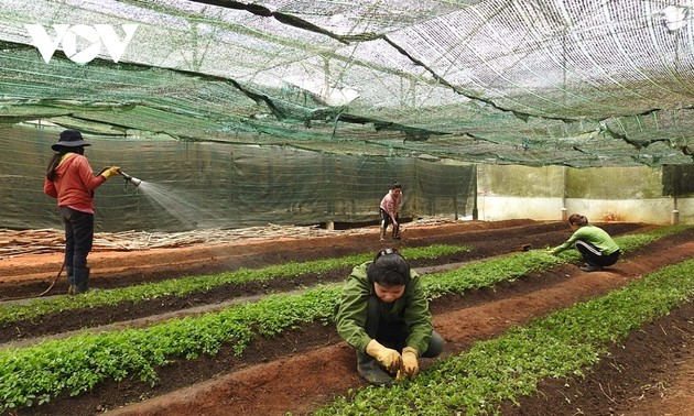 コントウム省における農作業への科学技術応用
