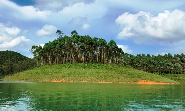 イエンバイ省における 経済的利益をもたらす持続可能な植林
