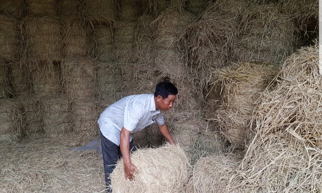 ソクチャン省に住む経営生産に優れた農民ラム・セさん