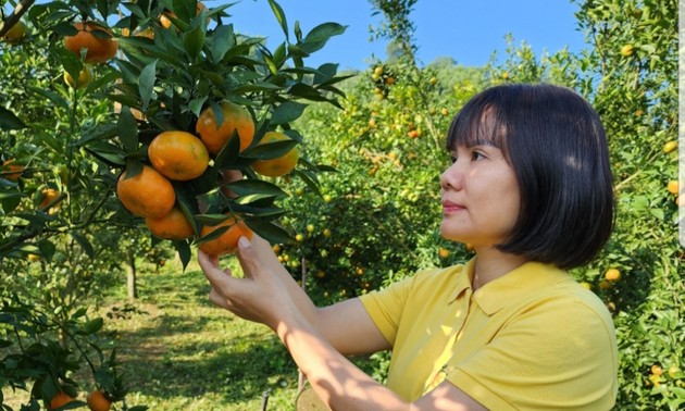 オレンジの栽培で成功したブ・レ・トゥオイさん