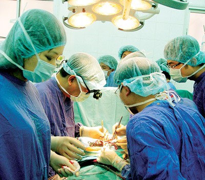 Pencangkokan organ  tubuh  merupakan satu prestasi yang penting  dari  instansi kesehatan Vietnam