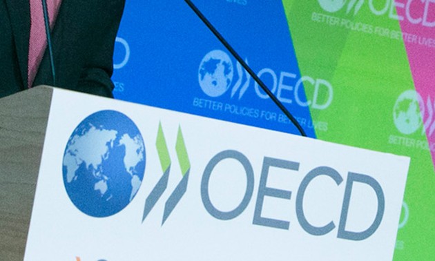 OECD berseru untuk mendorong  start-up  terhadap kaum pemuda Amerika Latin