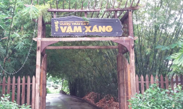 Mengunjungi Kebun pohon buah-buahan Vam Xang, Kabupaten Phong Dien, Kota Can Tho