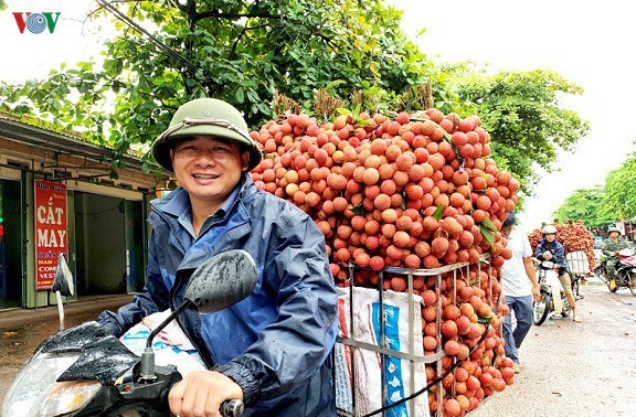Buah-buahan Vietnam terus  masuk ke banyak pasar  yang tinggi tuntutannya