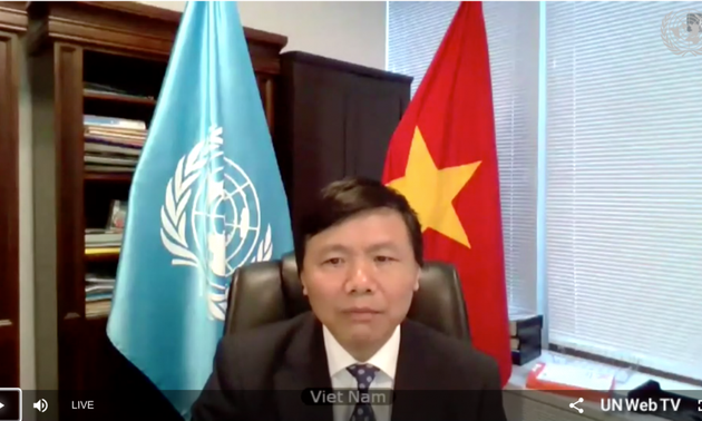 Vietnam dan Indonesia  berbicara bersama di depan DK PBB mengenai situasi Afrika Tengah