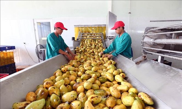 Perjanjian EVFTA: Meningkatkan kualitas dan membina brand bagi hasil pertanian Vietnam