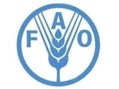 Conférence régionale pour l’Asie et le Pacifique de la FAO à Hanoi