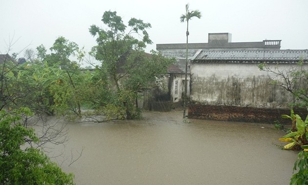 Plusieurs localités du Nord-Vietnam réparent les dégâts provoqués par Jebi 