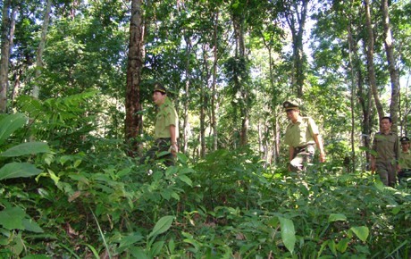 A forest ranger in Truong Son Range 