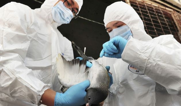 China detects new case of H7N9