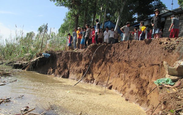   Measures to prevent landslides in the Mekong Delta