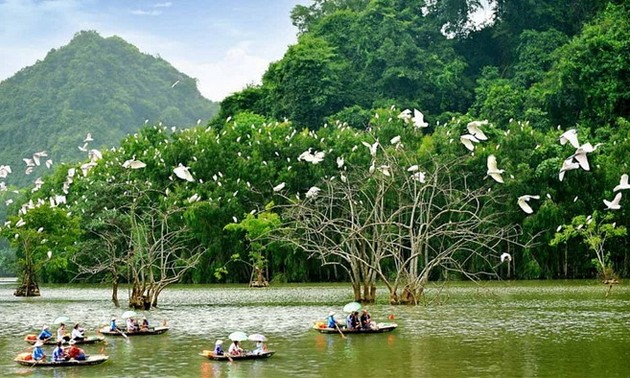 Vietnam develops ecotourism in line with biodiversity conservation