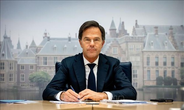 Vietnam-Netherlands relations develop comprehensively