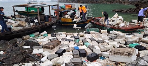Ha Long Bay begins waste collection, cleanup campaign 