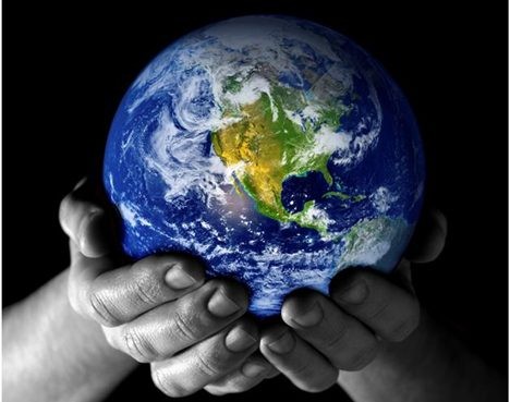 Meetings in response to World Environment Day on June 5th