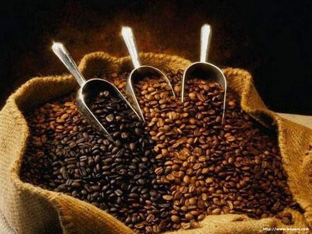 Vietnam’s strategy to develop brand-name for exports