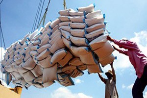 Exports – highlight of Vietnamese economy in 2012