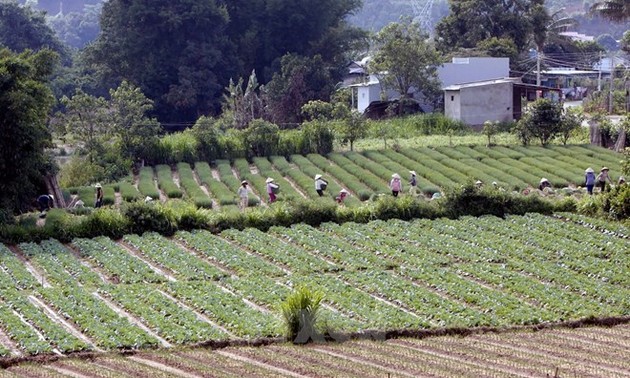 Vietnam restructures its agriculture for integration and development