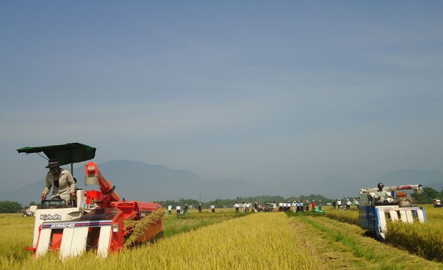 Hoa Vang district recognised as new-style rural area 
