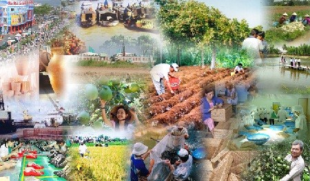VN steps up economic development and national defense and security 