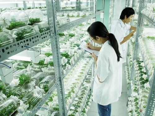 Ho Chi Minh City’s High-Tech Agriculture achievements