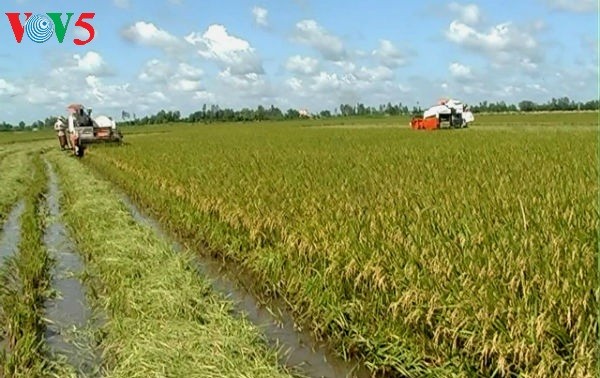Mekong Delta’s agriculture ahead of integration challenges