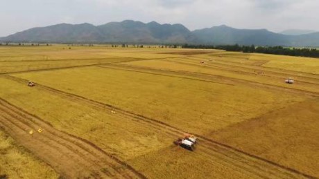 Mekong Delta expands farm land toward large-scale production