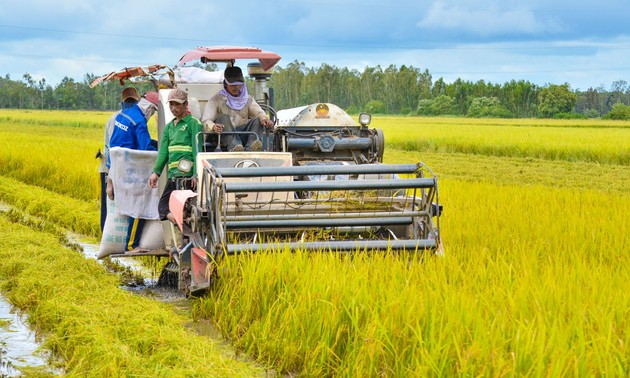  Long Xuyen Quadrangle urged to increase high-tech applications in agricultural production