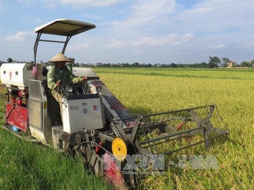 Thai Binh's agricultural economy boosted 