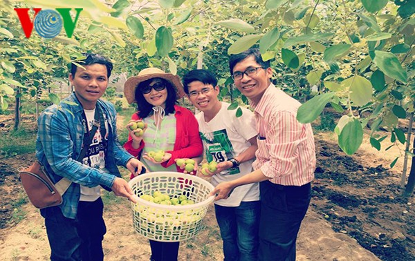 Homestay and tours of Ninh Thuan’s rural areas  